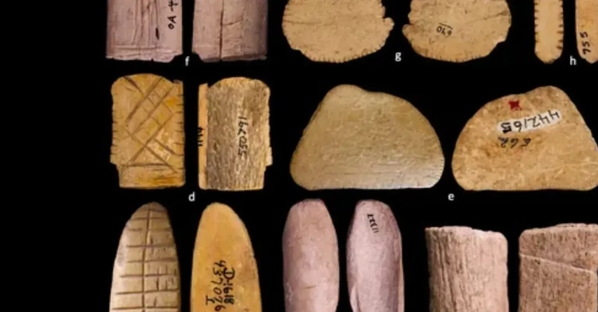 Археологи нашли на территории США игральные кости в возрасте 12 тысяч лет (фото)