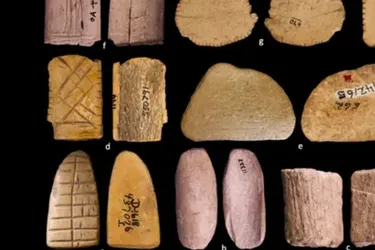 Археологи знайшли на території США гральні кістки віком 12 тисяч років (фото)