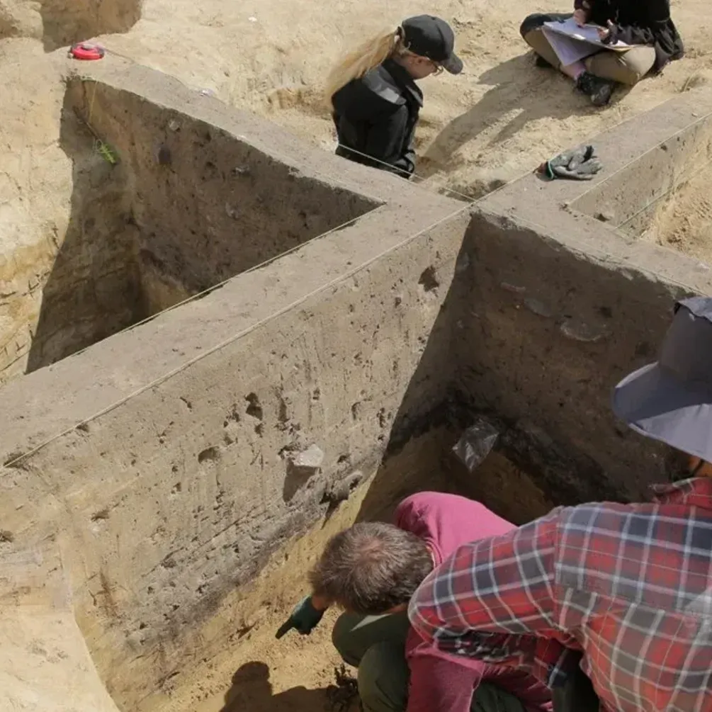 Було втрачене впродовж тривалого часу: археологи знайшли у Польщі місто 14 століття (фото)