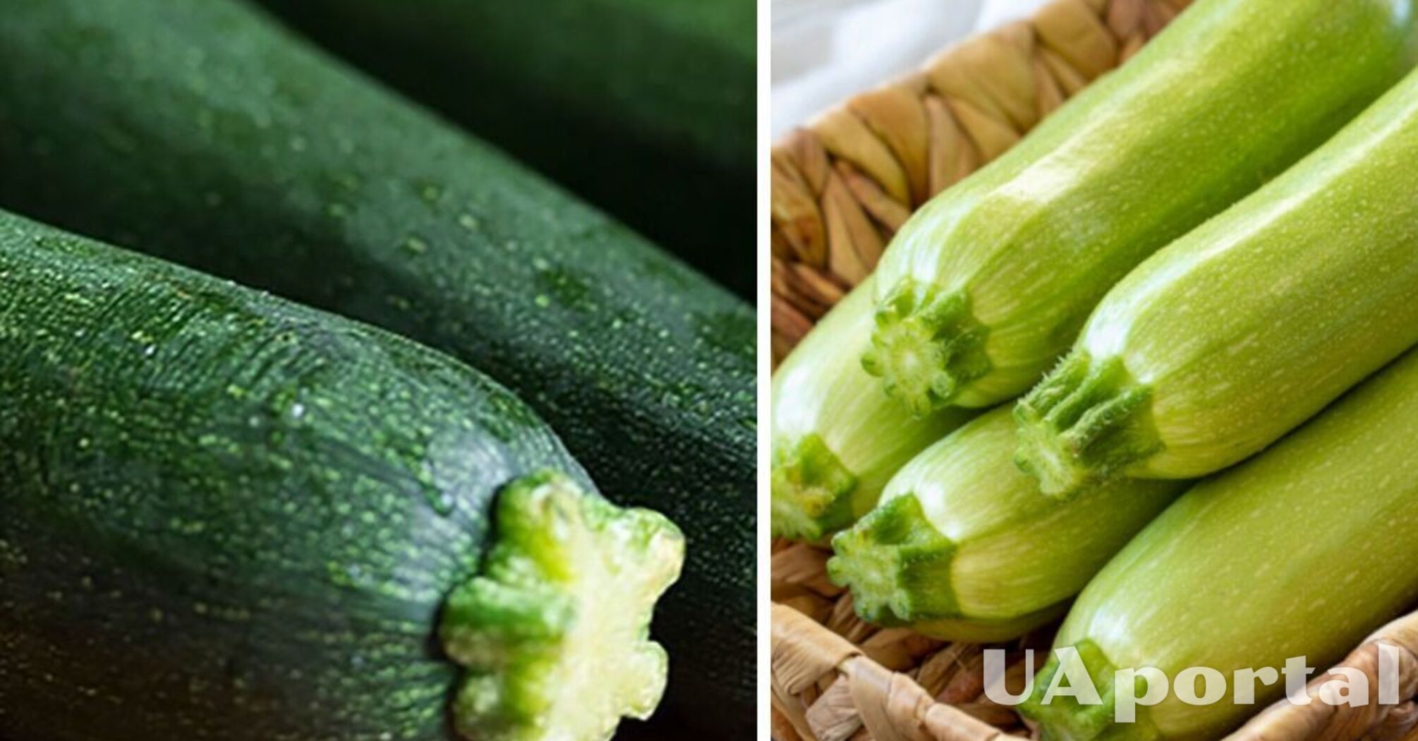 В Україні очікується зростання вартості популярних овочів: скільки коштуватимуть   