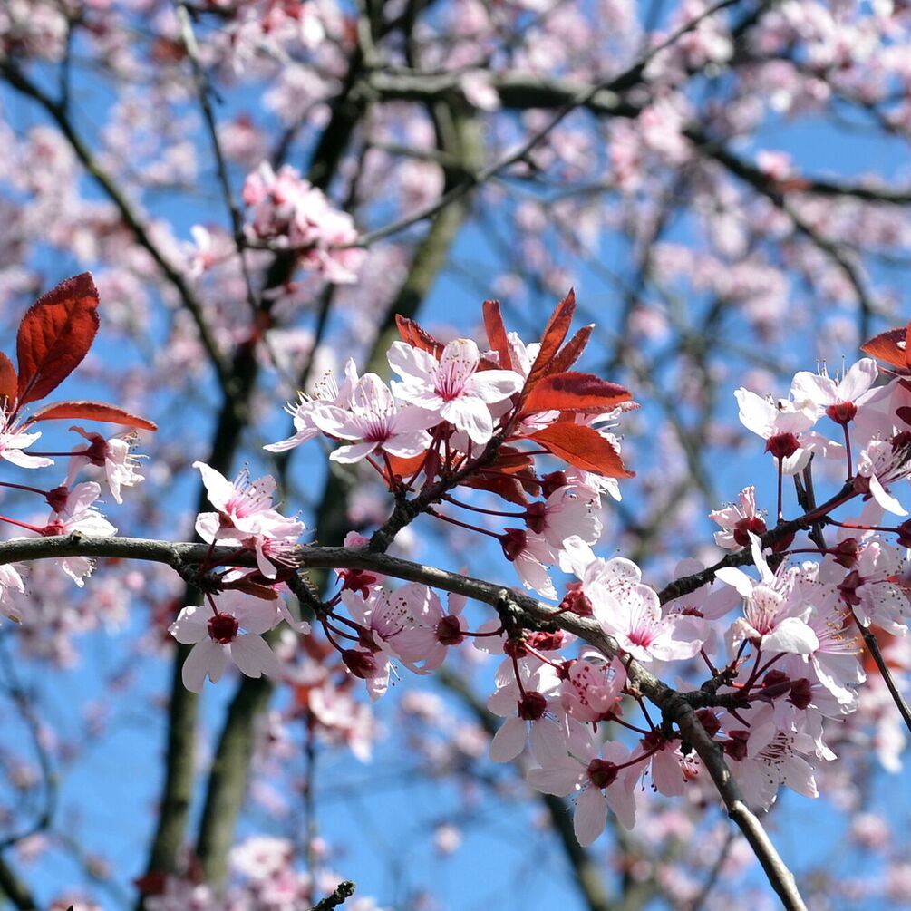 Переменная погода с 17 тепла до нуля: прогноз погоды в Украине на неделю