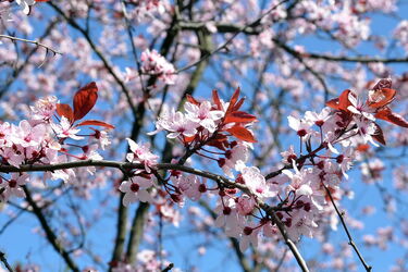 Переменная погода с 17 тепла до нуля: прогноз погоды в Украине на неделю