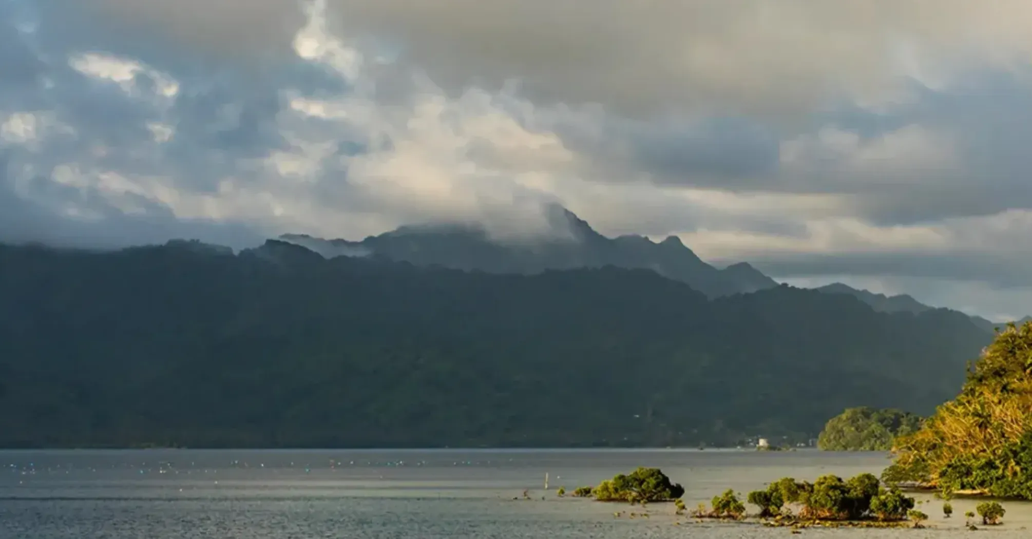 Создан из остатков пищи 1200 лет назад: ученые обнаружили в Тихом океане новый остров (фото)