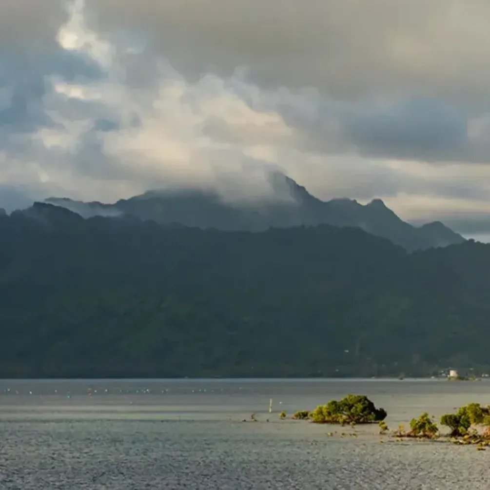 Создан из остатков пищи 1200 лет назад: ученые обнаружили в Тихом океане новый остров (фото)