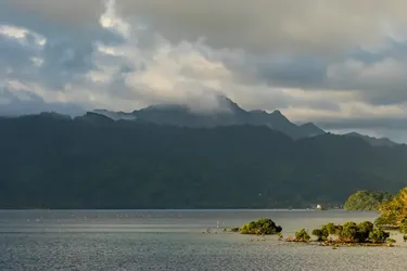 Створений із залишків їжі 1200 років тому: вчені виявили у Тихому океані новий острів (фото)