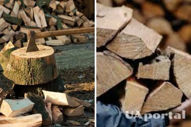 Как оформить субсидию на дрова в 2026 году