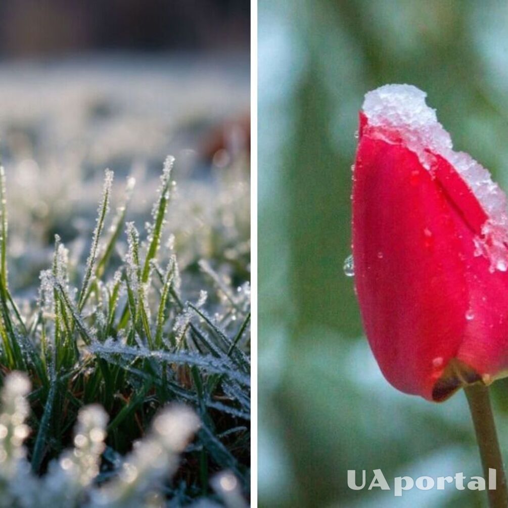 В Україні очікуються заморозки до -5: прогноз погоди на найближчі дні