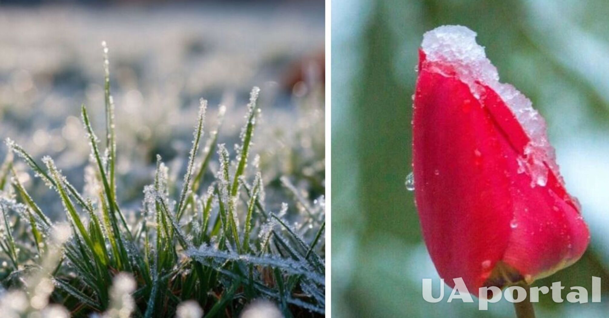 В Украине ожидаются заморозки до -5: прогноз погоды на ближайшие дни.