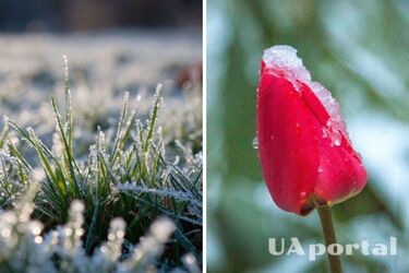 В Украине ожидаются заморозки до -5: прогноз погоды на ближайшие дни.