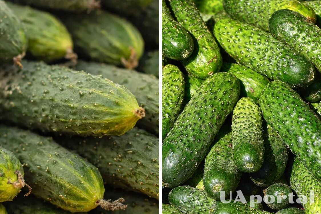 В Україні подешевшав популярний овоч: скільки коштує