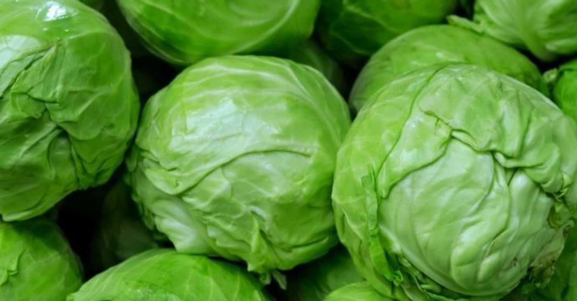 В Україні подешевшав популярний овоч: ціни на продукти в Україні  