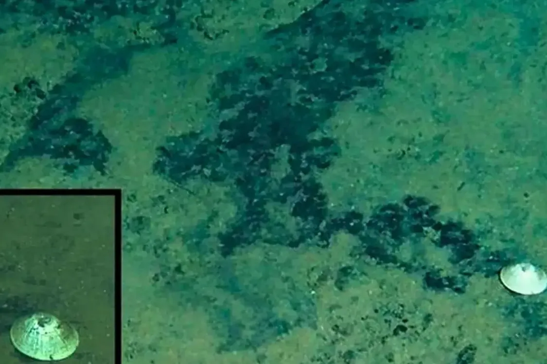 Обитает на глубине 6 километров: в Тихом океане нашли 'морского бога' (фото)