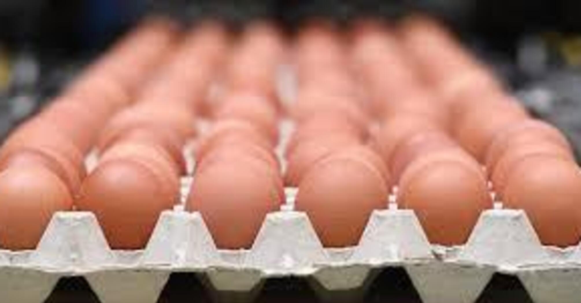 В Украине упала цена на популярный продукт: сколько стоит