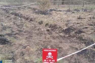 Розбирали ворожий дрон: на Чернігівщині загинули двоє фермерів