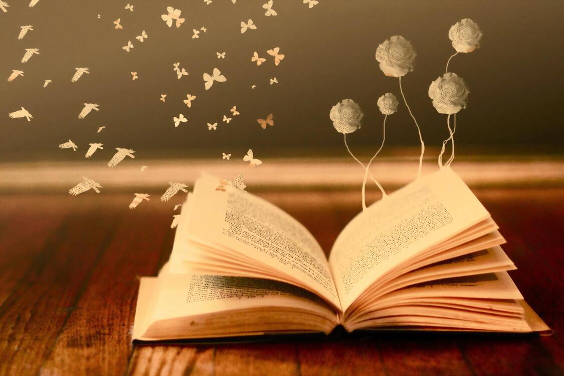 Чому варто приділяти час читанню книжок?
