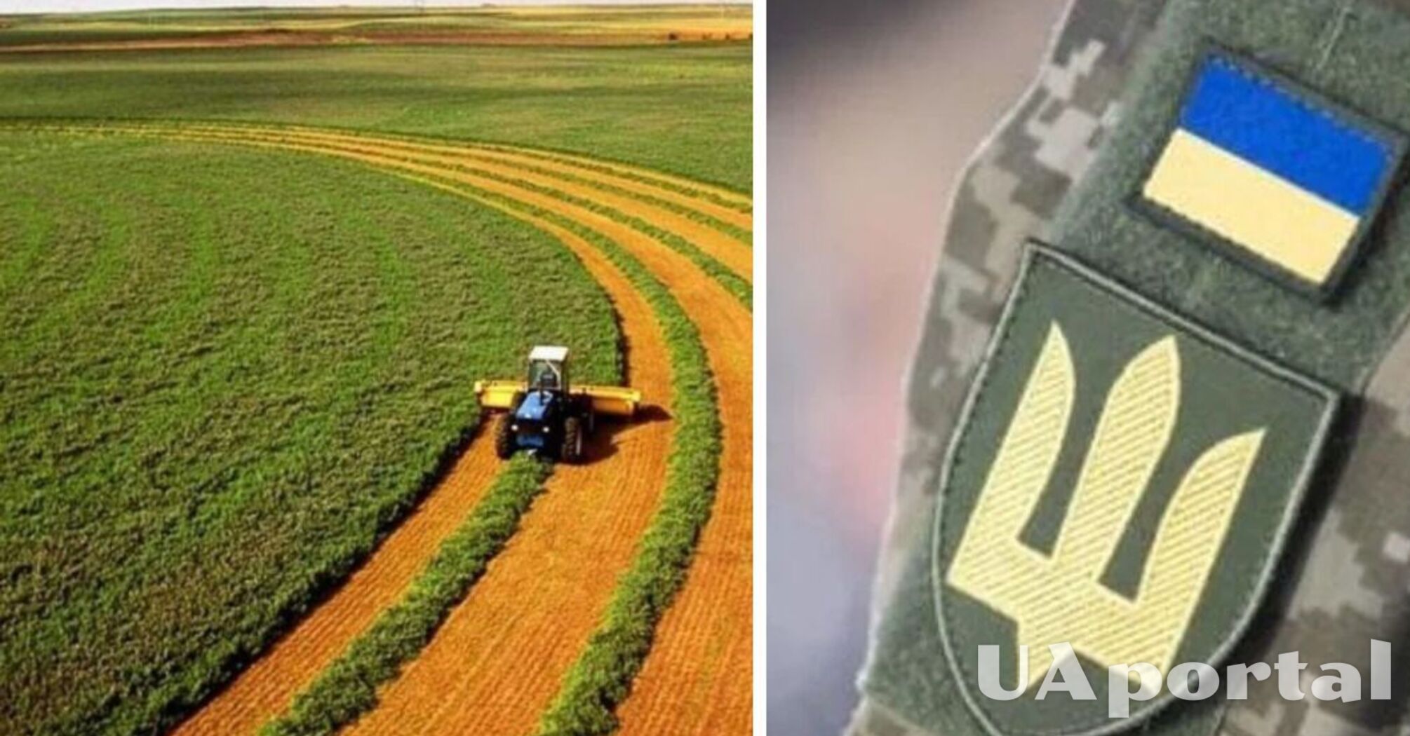 Как участнику боевых действий получить земельный участок от государства