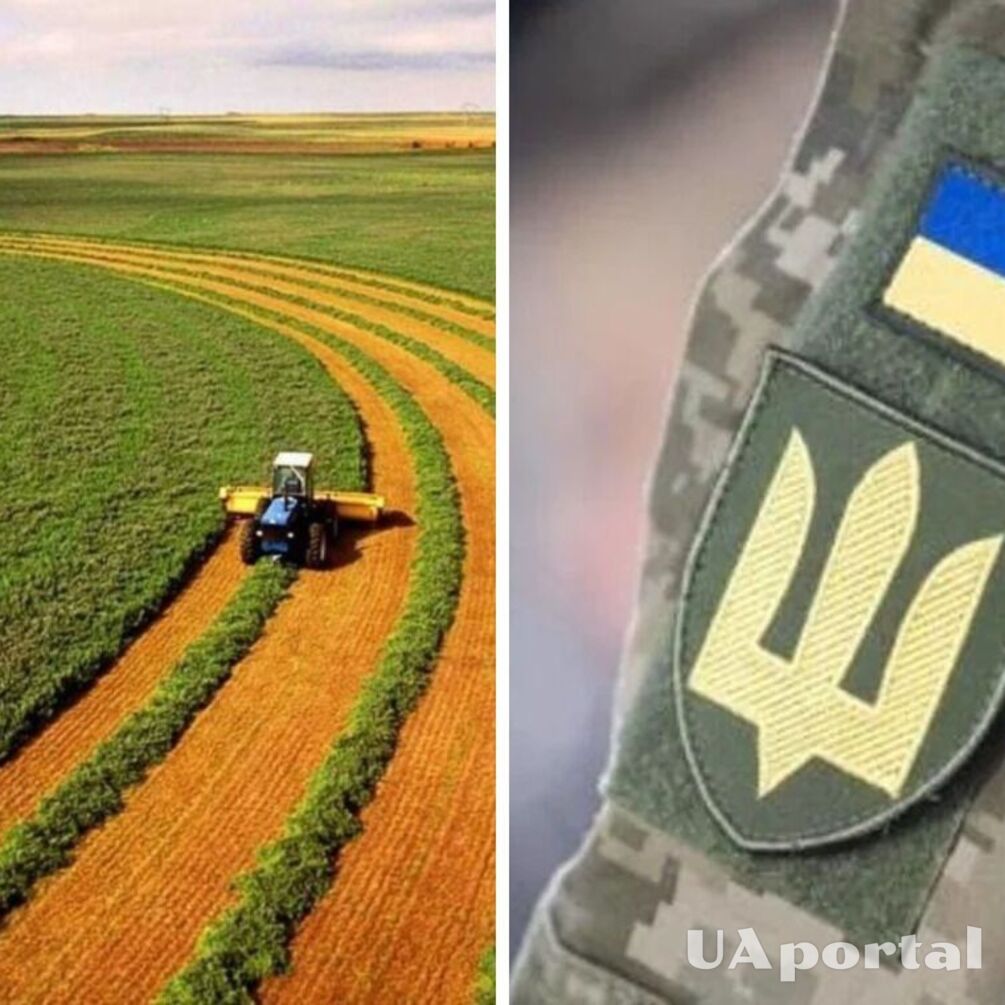 Як учаснику бойових дій отримати земельну ділянку від держави