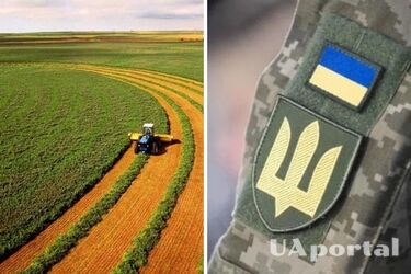 Как участнику боевых действий получить земельный участок от государства