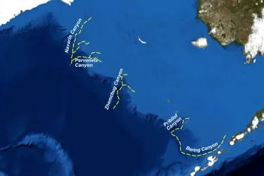 На дні Берингового моря виявили прірву, більшу за Гранд-Каньйон: як вона утворилась (фото)
