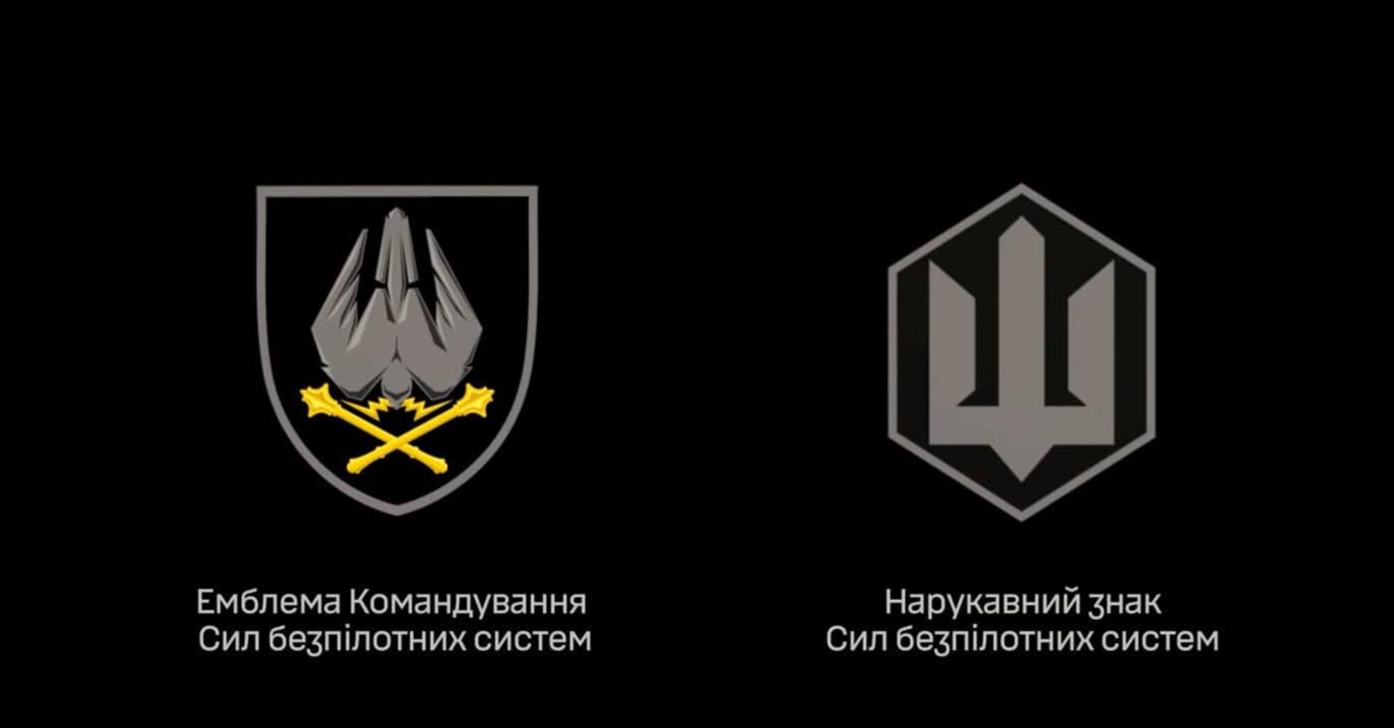 Силы беспилотных систем получили береты и новую символику