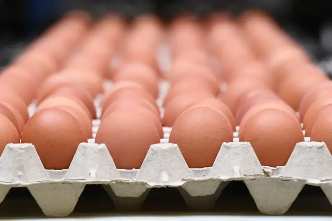 В Україні впала ціна на популярний продукт: скільки коштує