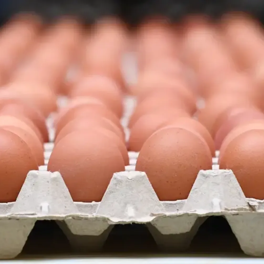 В Україні суттєво впала ціна на популярний продукт: скільки коштує