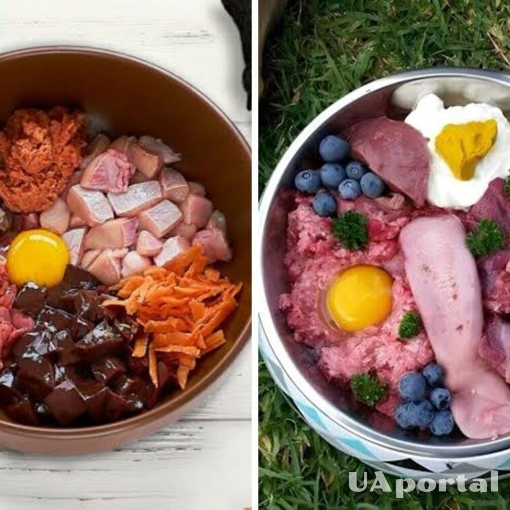 Возьмите на заметку: какие пять продуктов улучшат шерсть вашего любимца