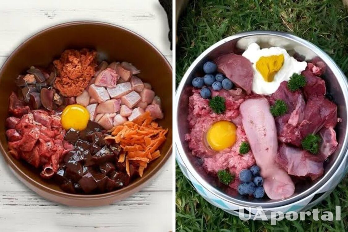 Возьмите на заметку: какие пять продуктов улучшат шерсть вашего любимца