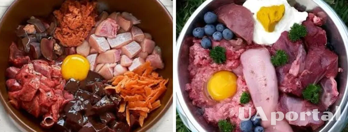Возьмите на заметку: какие пять продуктов улучшат шерсть вашего любимца