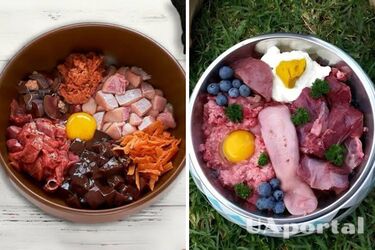 Візьміть на замітку: які пʼять продуктів покращать шерсть вашого улюбленця