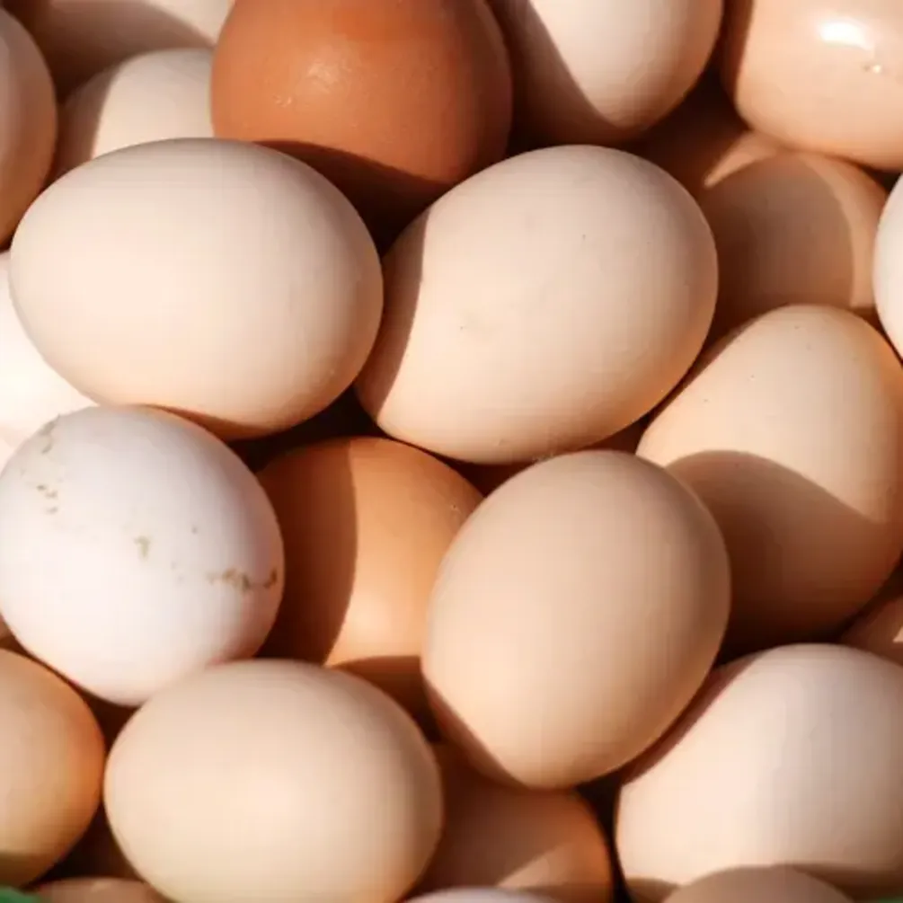 В Украине выросли цены на популярный продукт: сколько стоит