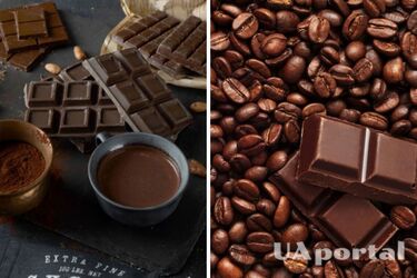 Можуть серйозно зашкодити здоровʼю: які продукти категорично заборонено давати собакам