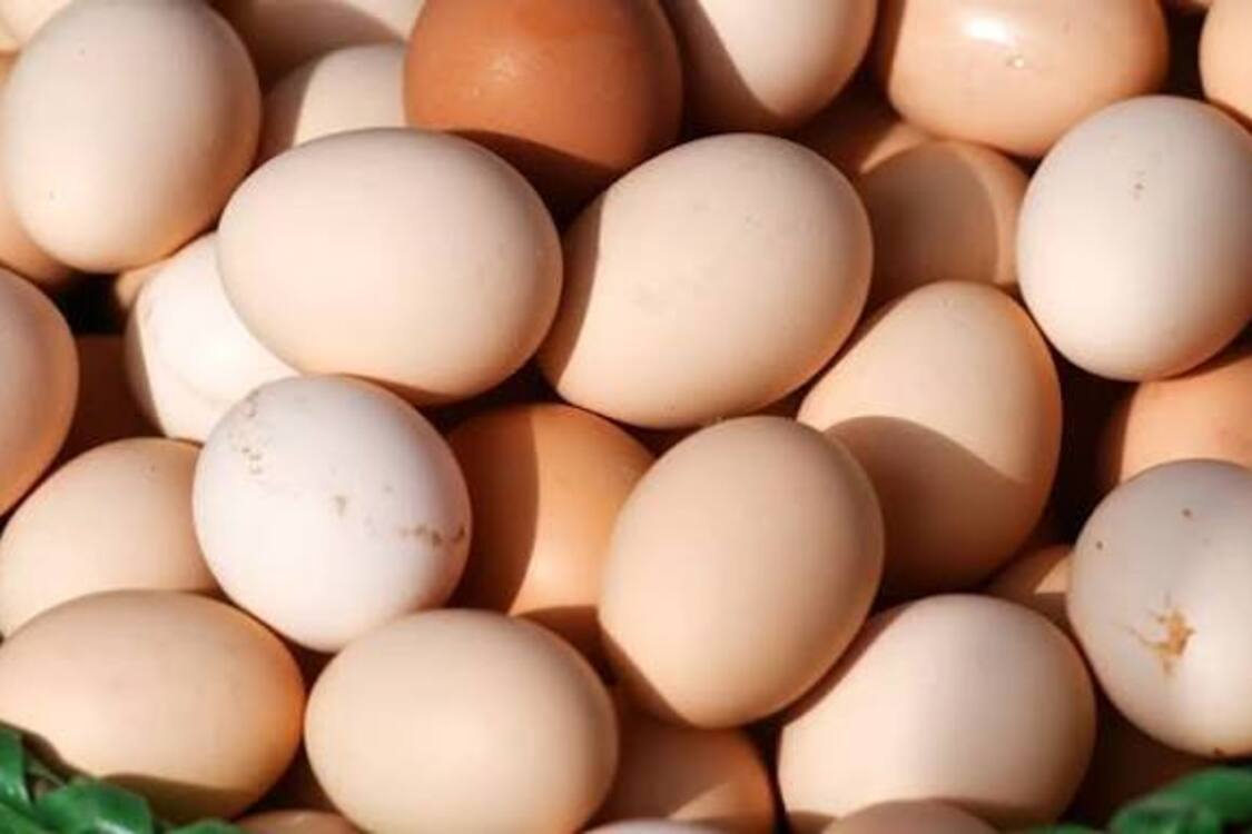 В Украине заметно подешевел популярный продукт: сколько стоит