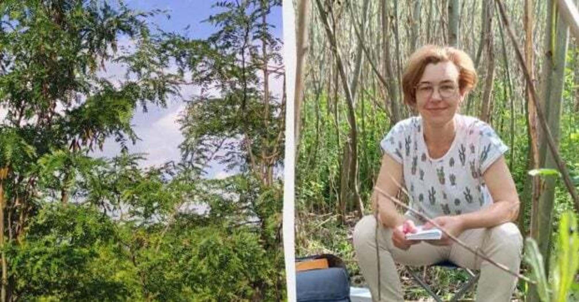 Каховское водохранилище исчезло — и на его месте вырастает лес, которого больше нигде нет