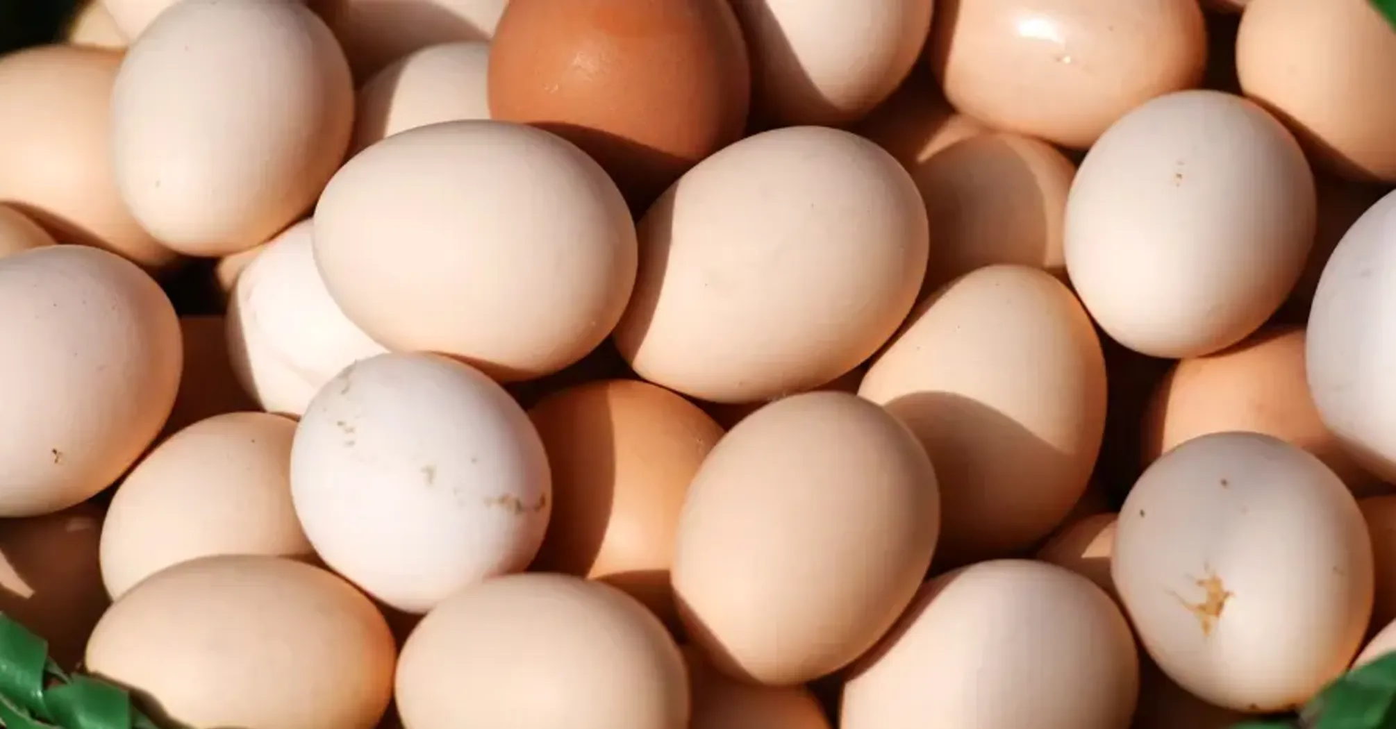 В Украине дешевеет популярный продукт: сколько стоит