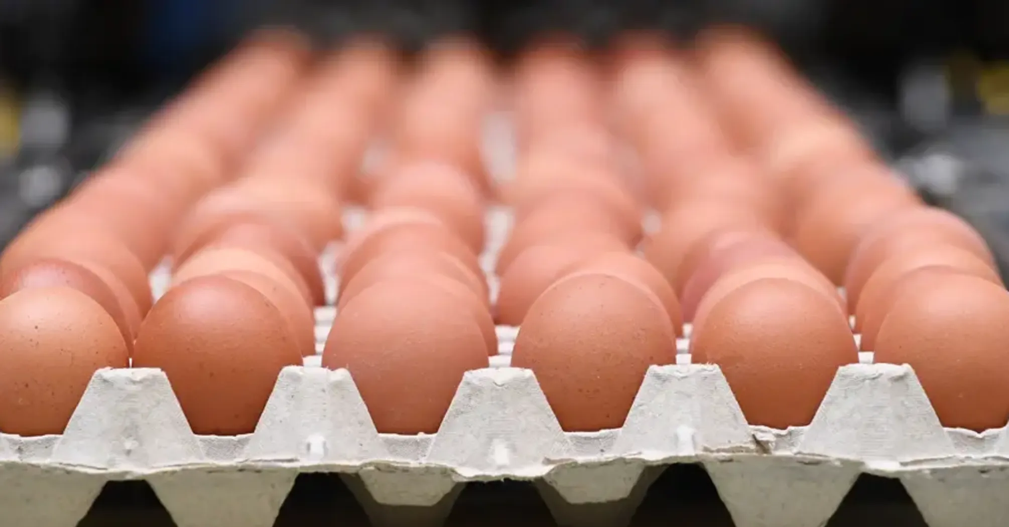 В Украине растет стоимость популярного продукта: сколько стоит