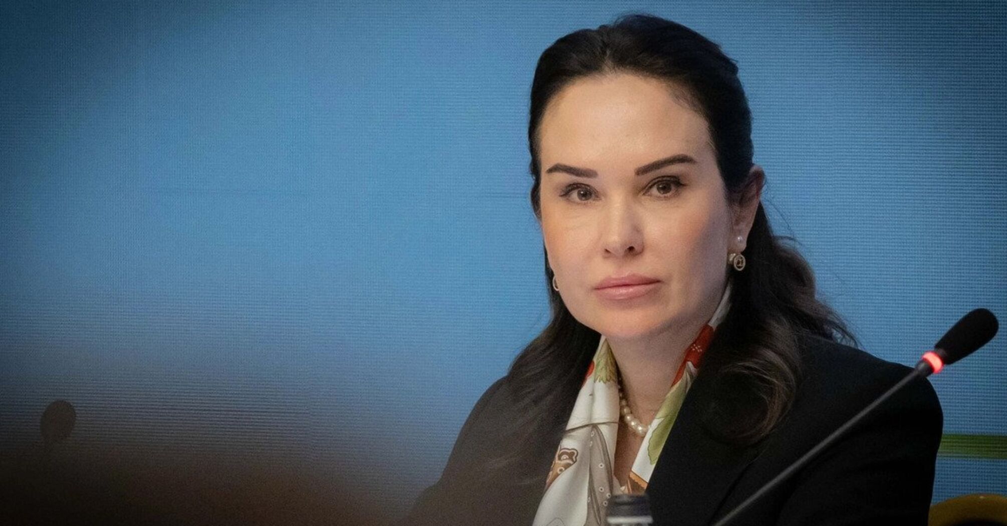 Мудрая прокомментировала обыски и подозрение: что говорит бывший зам главы ОП
