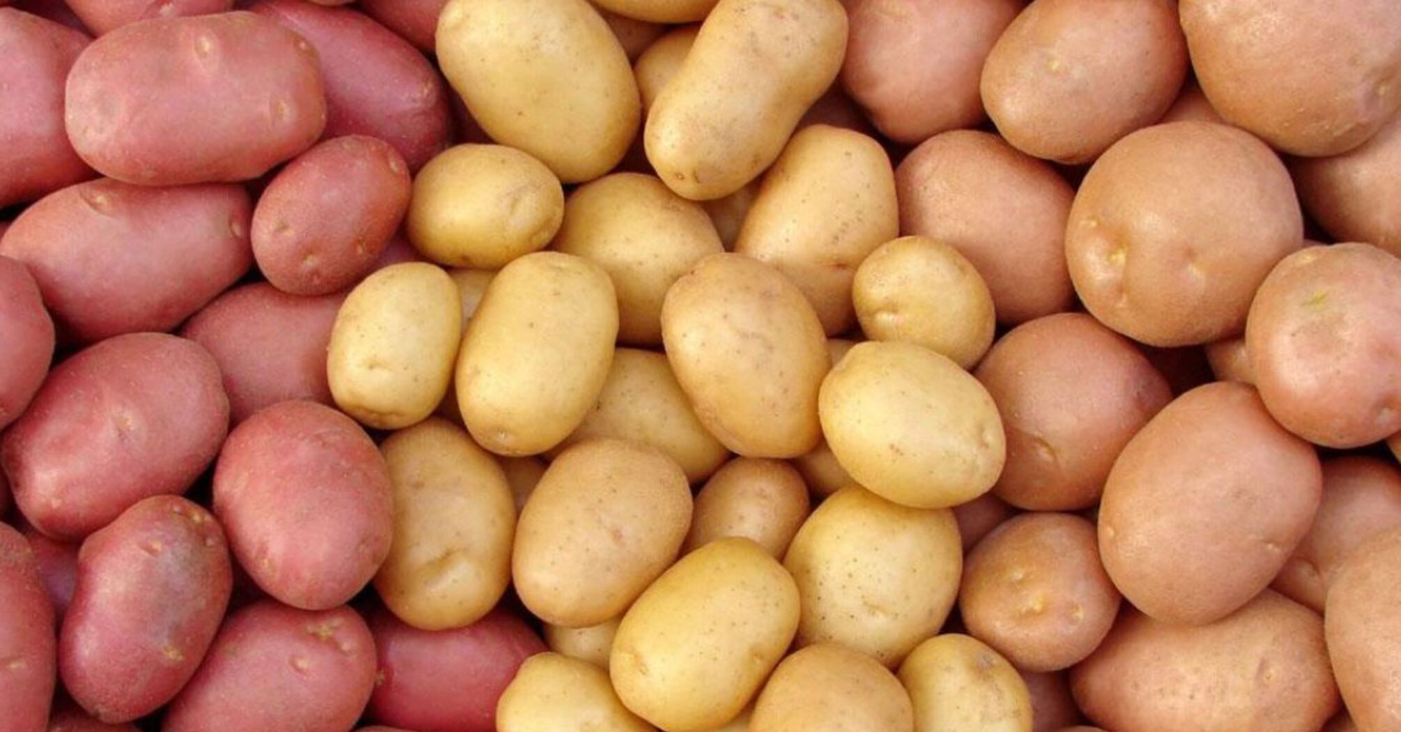 В Украине подают цены на популярный продукт: сколько стоит