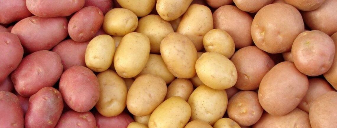 В Украине подают цены на популярный продукт: сколько стоит