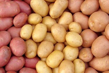 В Украине подают цены на популярный продукт: сколько стоит
