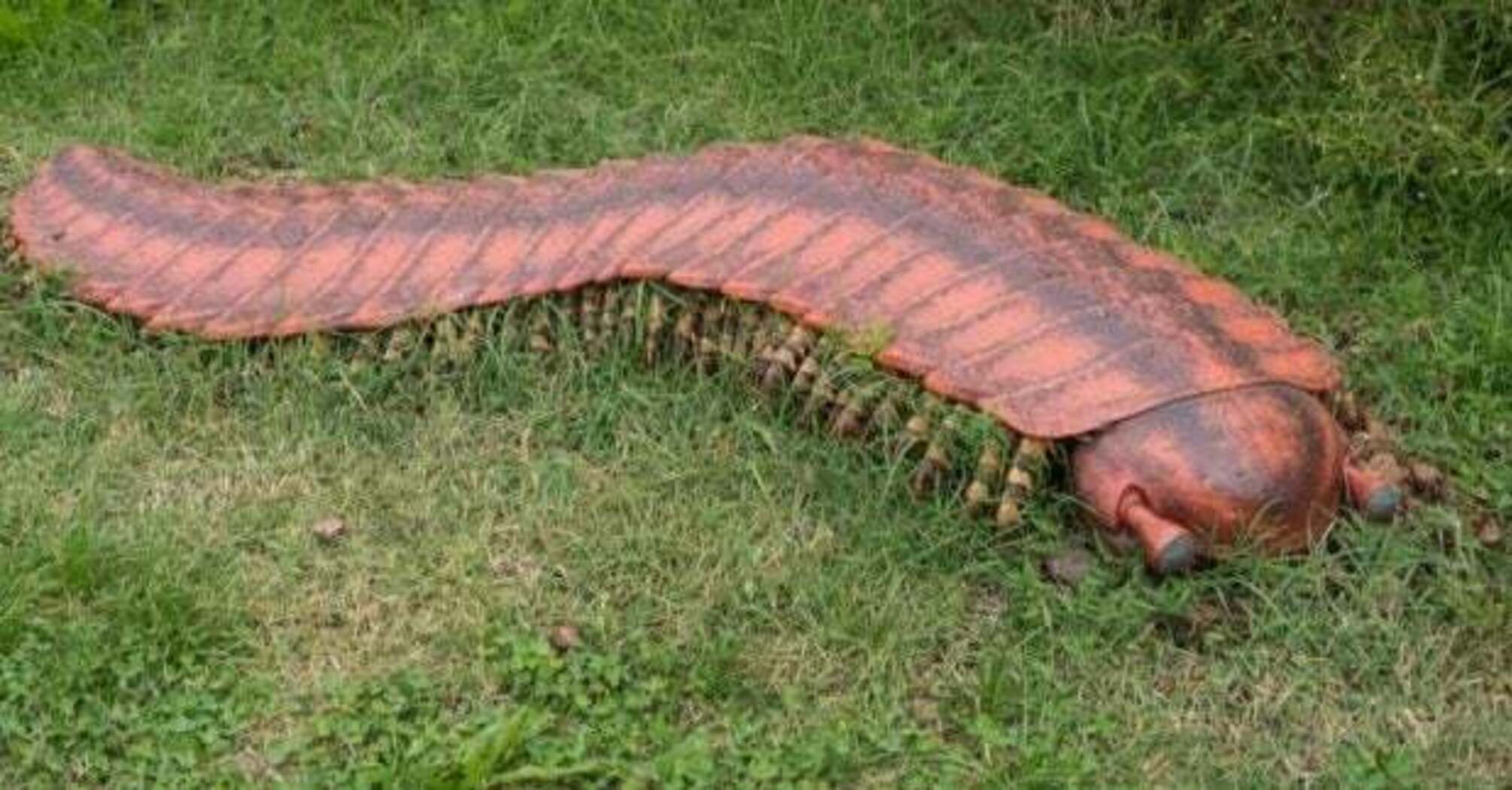 Arthropleura: древняя сороконожка размером с авто и загадка её гигантских размеров