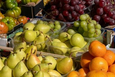 Якими фруктами можна замінити собаці магазинні ласощі