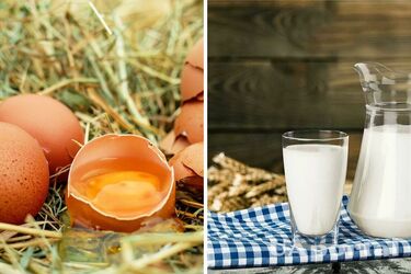В августе стоимость некоторых продуктов изменится: за что придется платить больше