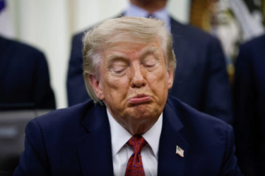 5000 доларів за підтримку Трампа: план перед виборами