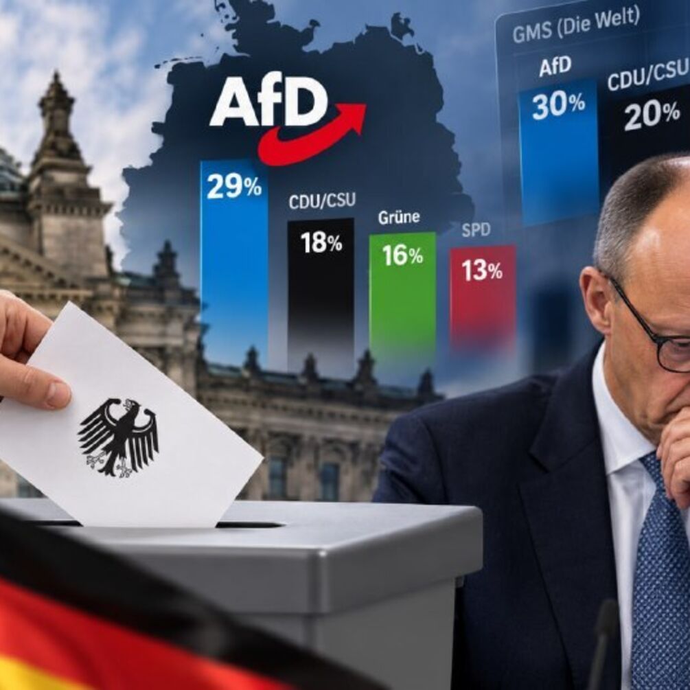 AfD на пике поддержки: что показали два новых опроса в Германии