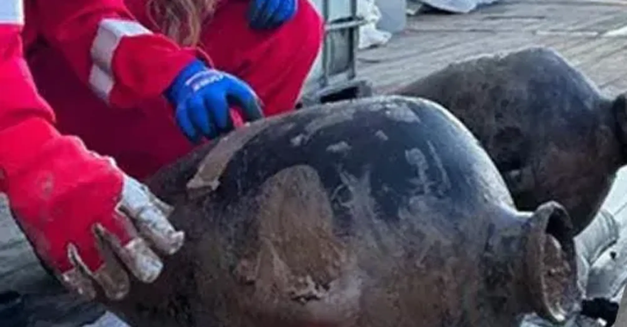 У Середземному морі знайшли рештки корабля з вантажем віком 3300 років (фото)  