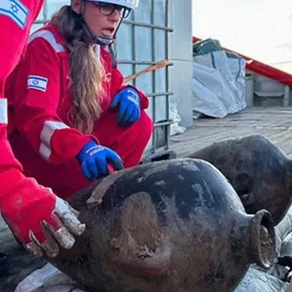 В Средиземном море нашли останки корабля с грузом 3300 лет (фото)