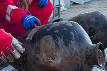 В Средиземном море нашли останки корабля с грузом 3300 лет (фото)