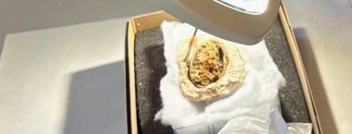 В Дании обнаружили одежду викингов в возрасте 1300 лет (фото)