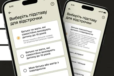 Как подать заявление на отсрочку через ЦНАП: список необходимых документов